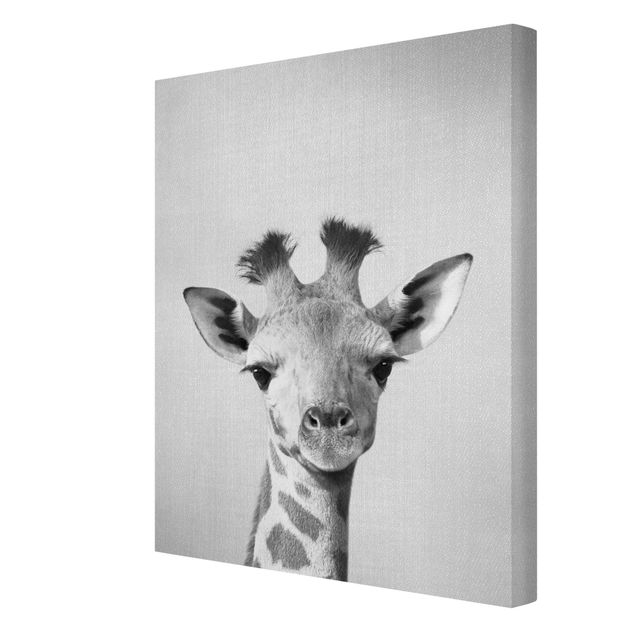 Leinwandbild - Baby Giraffe Gandalf Schwarz Weiß - Hochformat 3:4