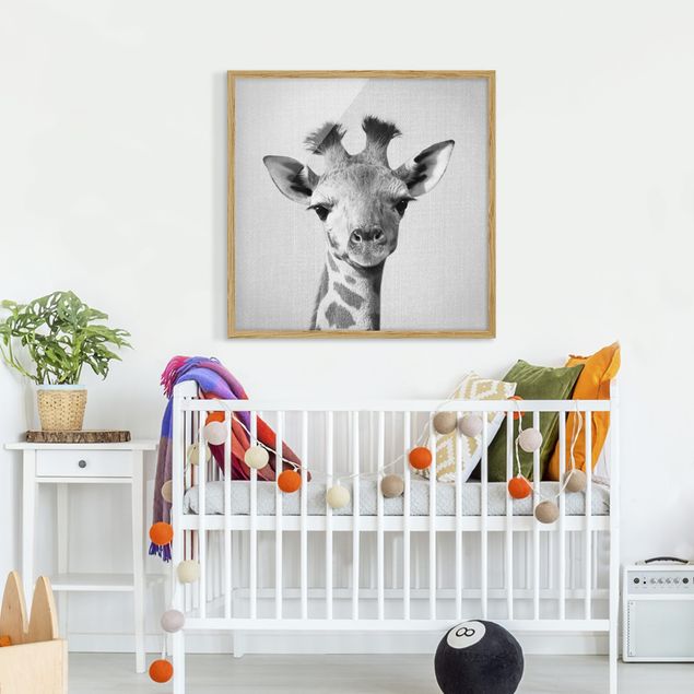 Bild mit Rahmen - Baby Giraffe Gandalf Schwarz Weiß - Quadrat - 1:1