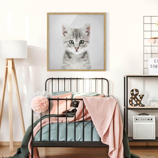 Bild mit Rahmen - Baby Katze Killi - Quadrat - 1:1