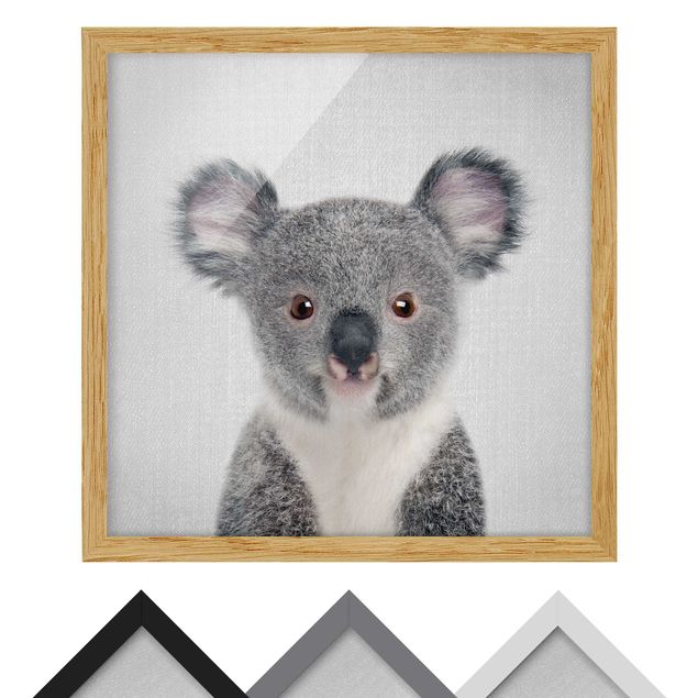 Bild mit Rahmen - Baby Koala Klara - Quadrat - 1:1