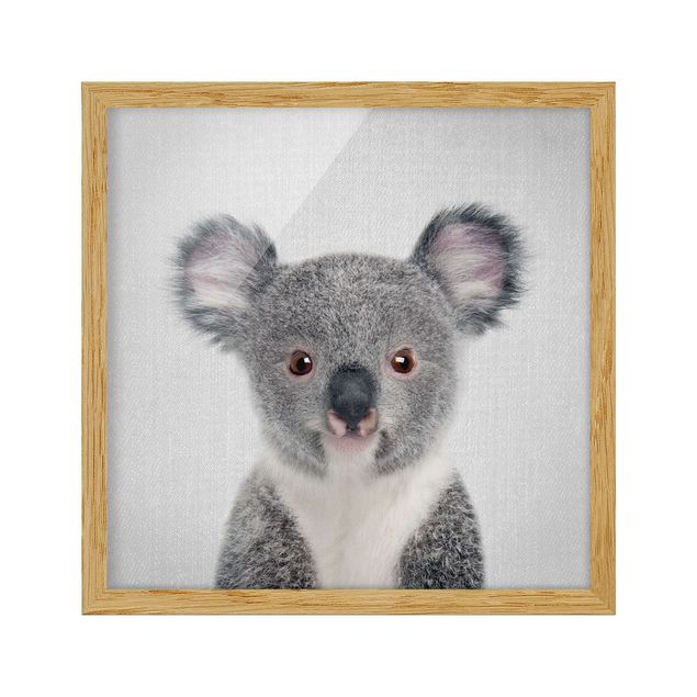 Bild mit Rahmen - Baby Koala Klara - Quadrat - 1:1