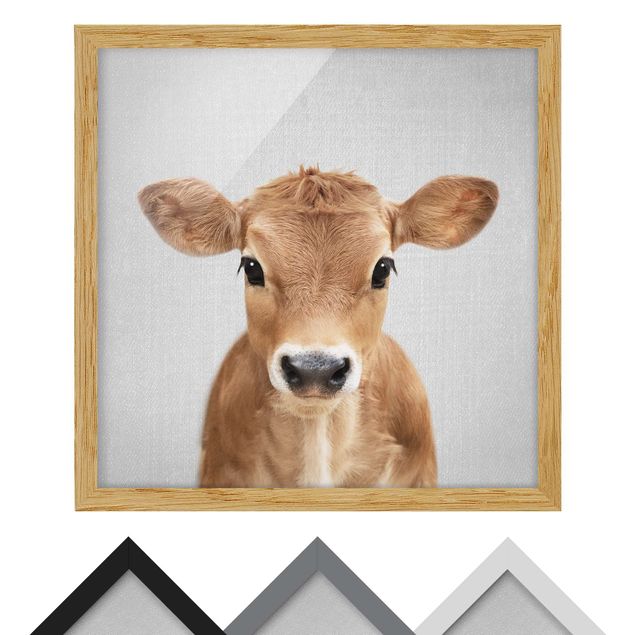 Bild mit Rahmen - Baby Kuh Kira - Quadrat - 1:1