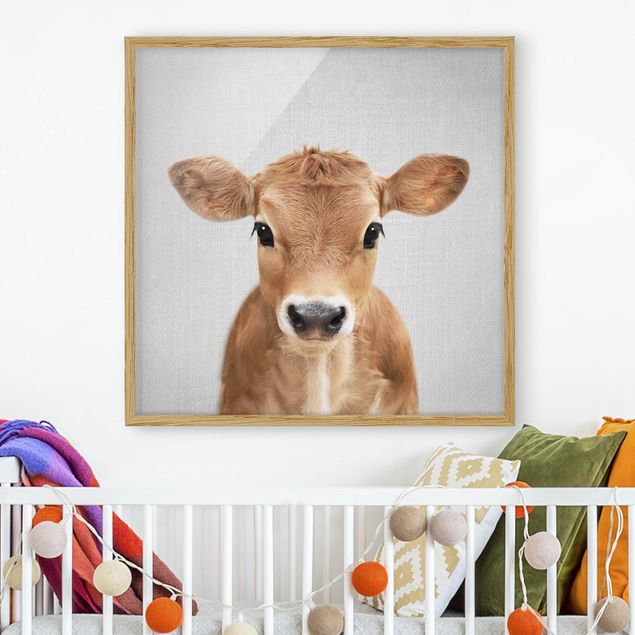 Bild mit Rahmen - Baby Kuh Kira - Quadrat - 1:1