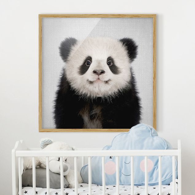Bild mit Rahmen - Baby Panda Prian - Quadrat - 1:1