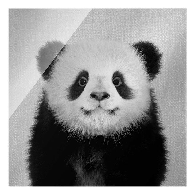 Glasbild - Baby Panda Prian Schwarz Weiß - Quadrat