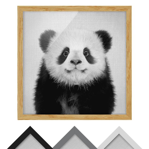 Bild mit Rahmen - Baby Panda Prian Schwarz Weiß - Quadrat - 1:1