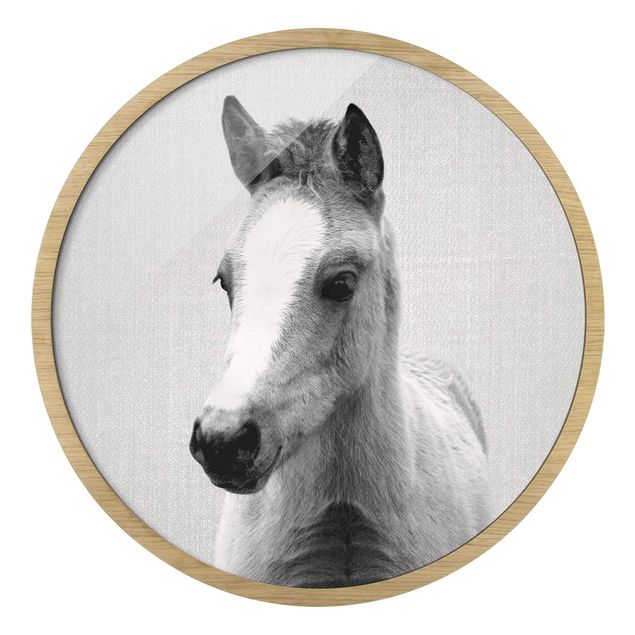 Rundes Gerahmtes Bild - Baby Pferd Philipp Schwarz Weiß