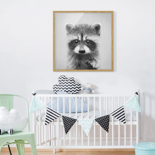 Bild mit Rahmen - Baby Waschbär Wicky Schwarz Weiß - Quadrat - 1:1