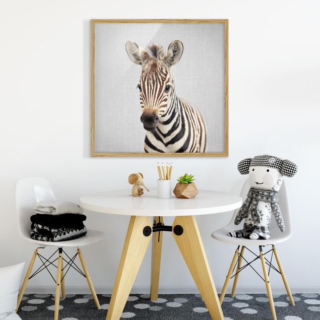 Bild mit Rahmen - Baby Zebra Zoey - Quadrat - 1:1