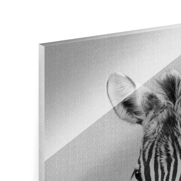 Glasbild - Baby Zebra Zoey Schwarz Weiß - Quadrat
