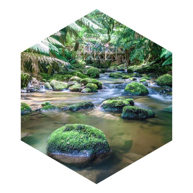 Hexagon Fototapete selbstklebend - Bach im Dschungel