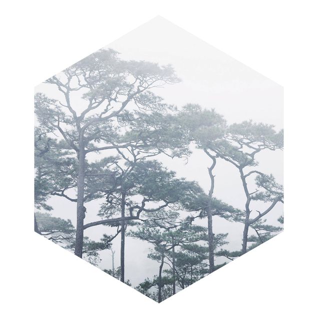 Hexagon Mustertapete selbstklebend - Baumkronen im Nebel