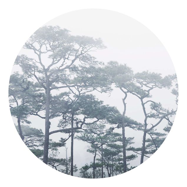 Runde Tapete selbstklebend - Baumkronen im Nebel