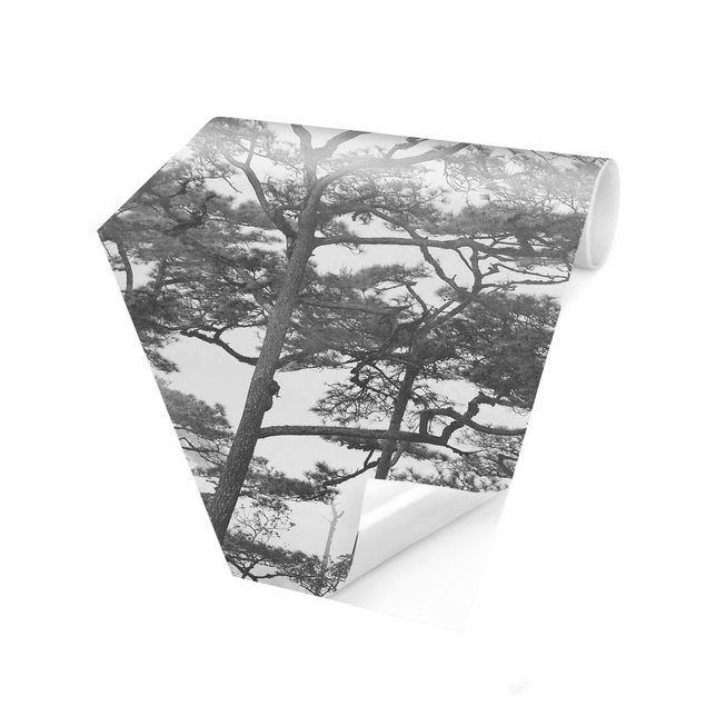 Hexagon Mustertapete selbstklebend - Baumkronen im Nebel Schwarz Weiß