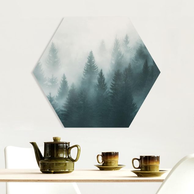 Hexagon Bild Forex - Nadelwald im Nebel