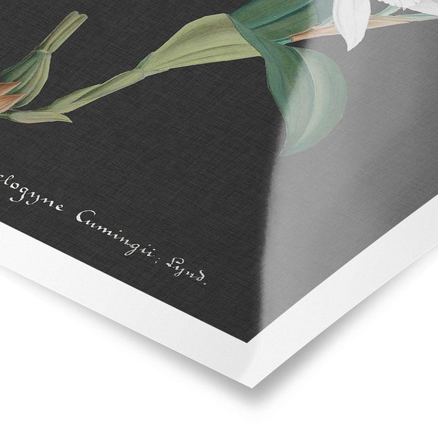 Poster - Weiße Orchidee auf Leinen II - Hochformat 3:2