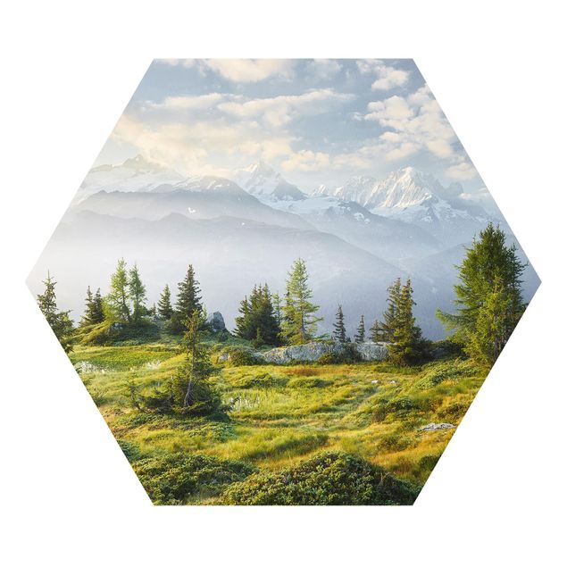 Hexagon Bild Forex - Émosson Wallis Schweiz