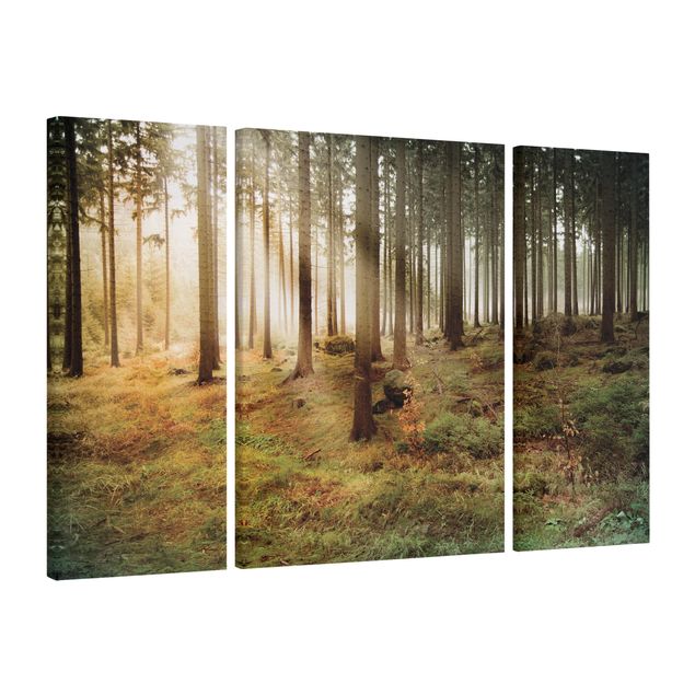 Leinwandbild 3-teilig - No.CA48 Morning Forest - Triptychon
