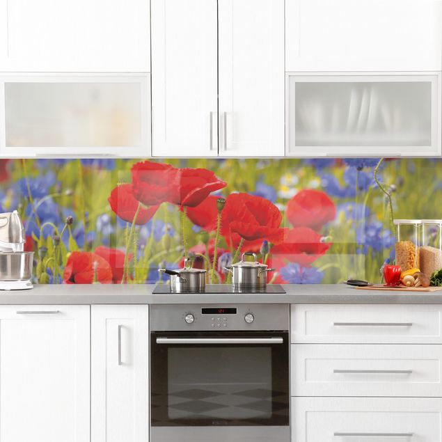 Küchenrückwand - Sommerwiese mit Mohn und Kornblumen