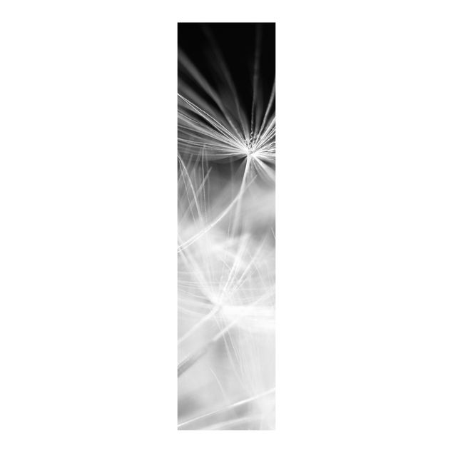 Schiebegardinen Set - Bewegte Pusteblumen Nahaufnahme auf schwarzem Hintergrund - Flächenvorhänge