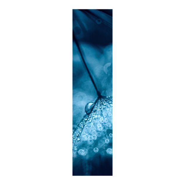 Schiebegardinen Set - Blaue Pusteblume im Regen - Flächenvorhang