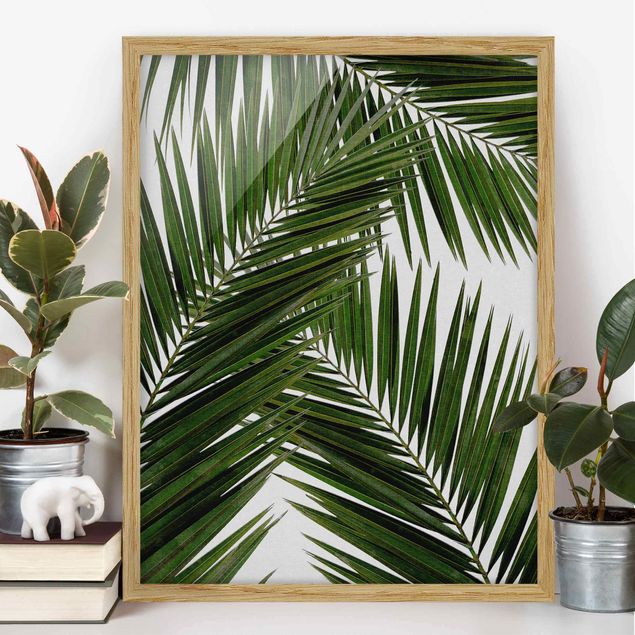 Bild mit Rahmen - Blick durch grüne Palmenblätter - Hochformat