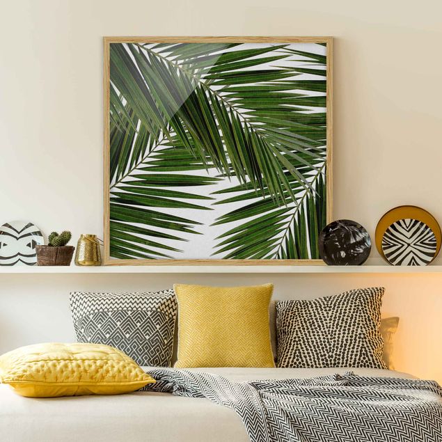 Bild mit Rahmen - Blick durch grüne Palmenblätter - Quadrat