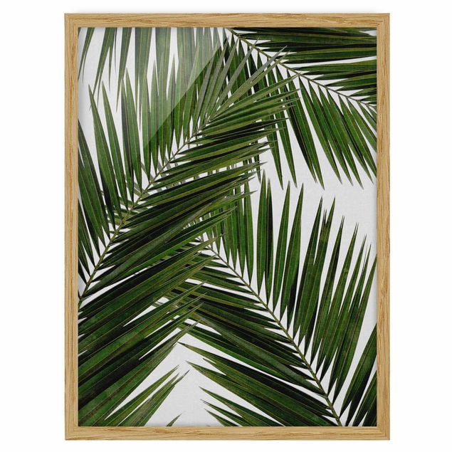 Bild mit Rahmen - Blick durch grüne Palmenblätter - Hochformat