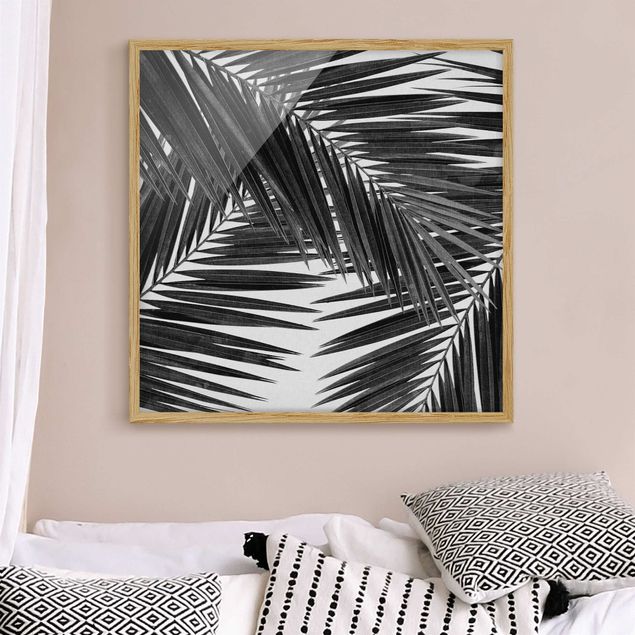 Bild mit Rahmen - Blick durch Palmenblätter schwarz weiß - Quadrat