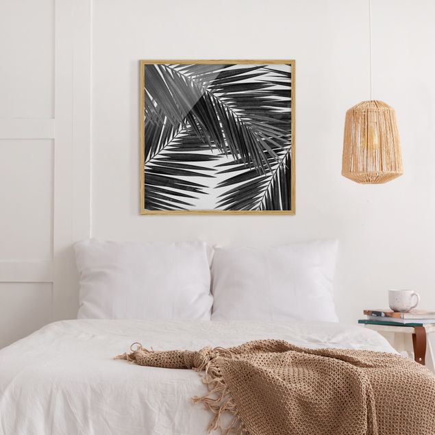 Bild mit Rahmen - Blick durch Palmenblätter schwarz weiß - Quadrat