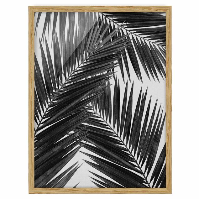 Bild mit Rahmen - Blick durch Palmenblätter schwarz weiß - Hochformat