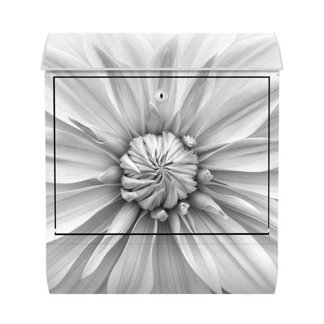 Briefkasten - Botanische Blüte in Weiß