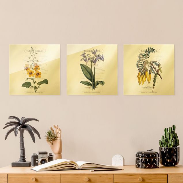 Glasbild mehrteilig - Botanisches Tableau Set I 3-teilig