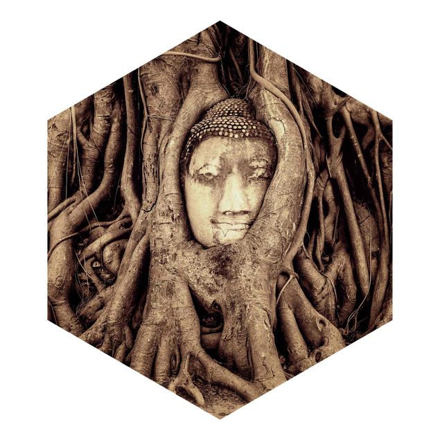 Hexagon Mustertapete selbstklebend - Buddha in Ayutthaya von Baumwurzeln gesäumt in Braun