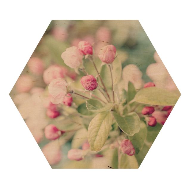 Hexagon Bild Holz - Apfelblüte Bokeh rosa