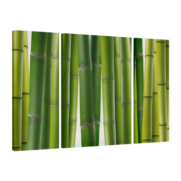 Leinwandbild 3-teilig - Bambuspflanzen - Triptychon