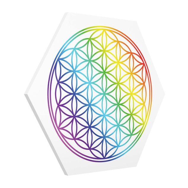 Hexagon Bild Forex - Blume des Lebens Regenbogenfarbe
