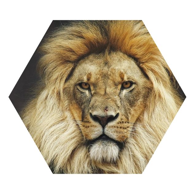 Hexagon Bild Forex - Wisdom of Lion