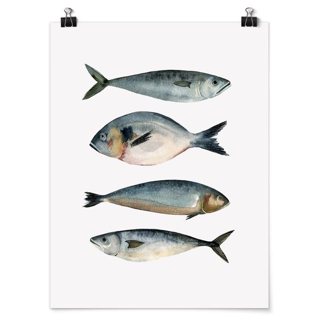 Poster - Vier Fische in Aquarell II - Hochformat 3:4