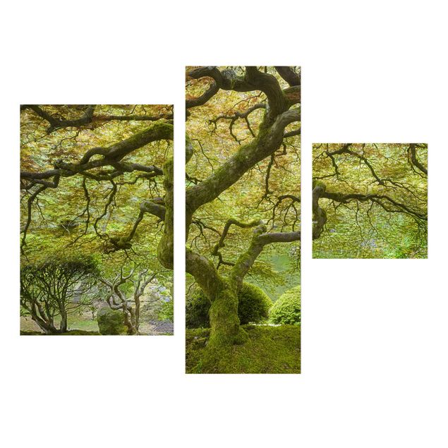 Leinwandbild 3-teilig - Grüner Japanischer Garten - Collage 1