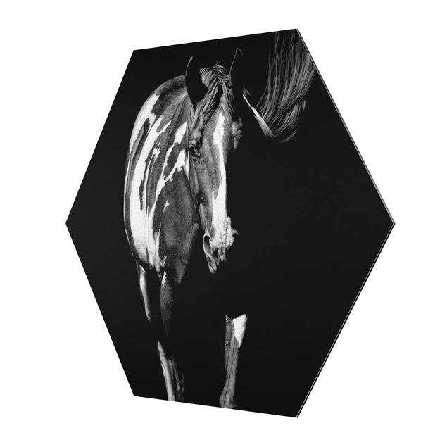 Hexagon Bild Alu-Dibond - Pferd vor Schwarz