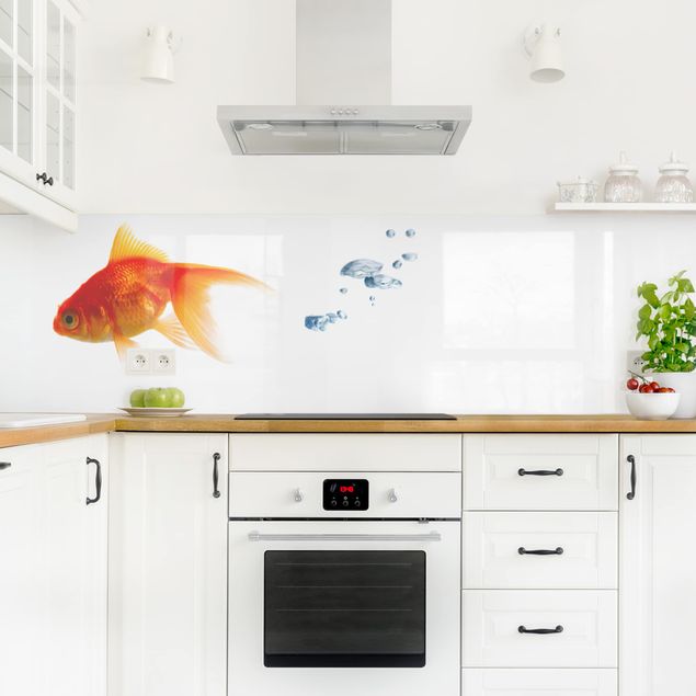 Küchenrückwand - Goldfisch