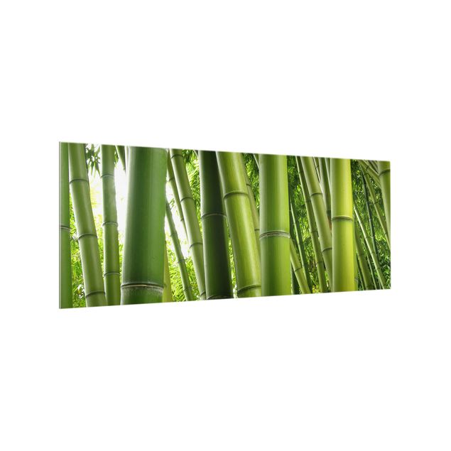 Spritzschutz Glas - Bamboo Trees - Panorama - 5:2