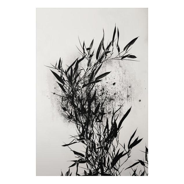 Aluminium Print - Grafische Pflanzenwelt - Schwarzer Bambus - Hochformat 3:2