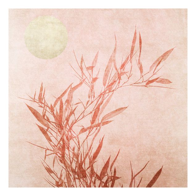 Forex Fine Art Print - Goldene Sonne mit Rosa Bambus - Quadrat 1:1