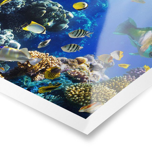 Poster - Underwater Reef - Querformat 2:3
