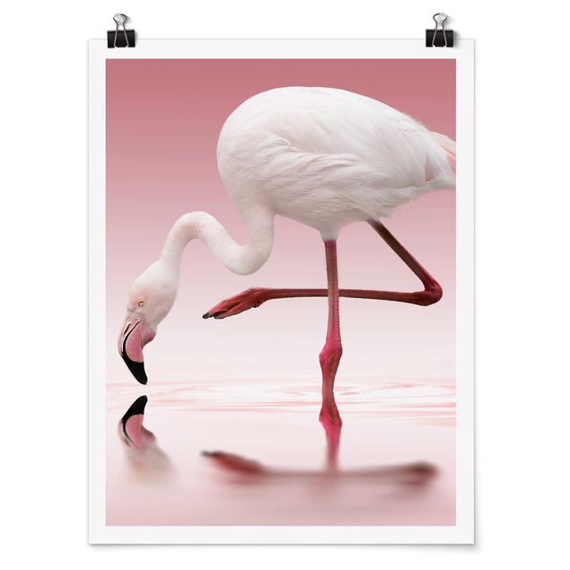 Poster - Flamingo Dance - Hochformat 3:4
