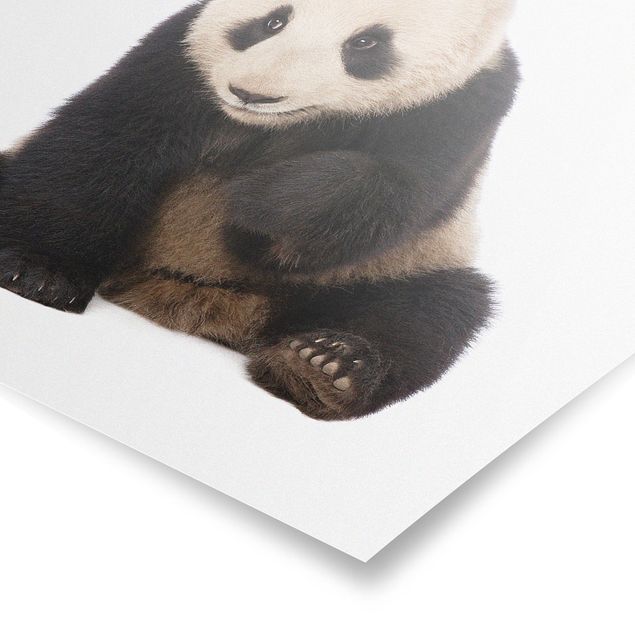 Poster - Panda Tatzen - Quadrat 1:1