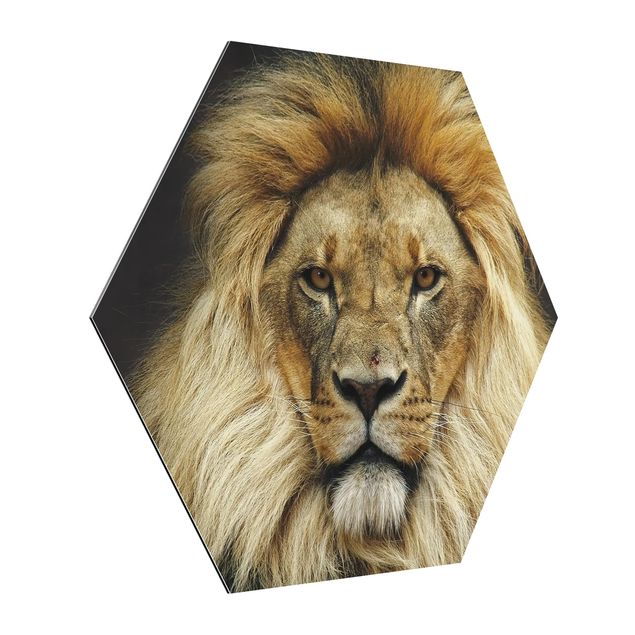 Hexagon Bild Alu-Dibond - Wisdom of Lion