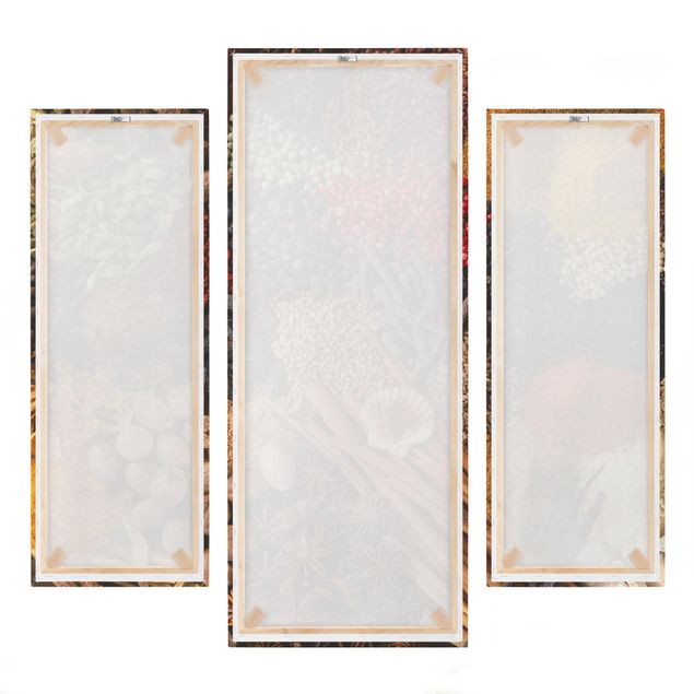 Leinwandbild 3-teilig - Exotische Gewürze - Galerie Triptychon